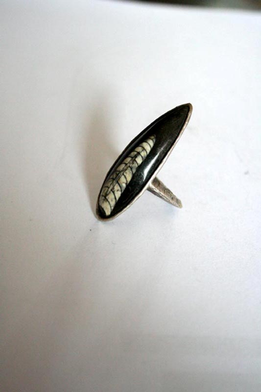 Killikus® Fotographie Killikus® Fotographie